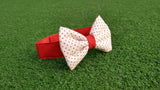 Bowtie - White with Red Dots