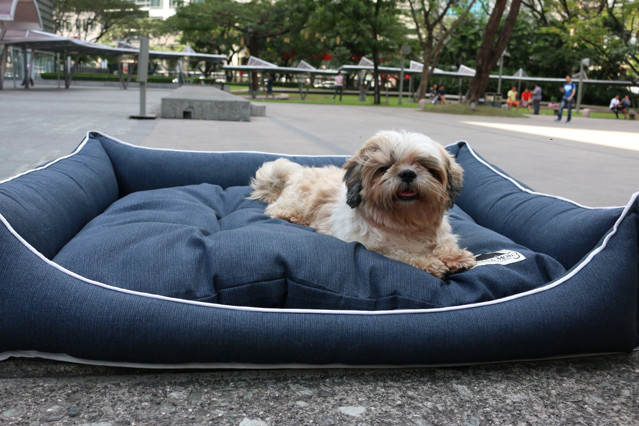 アウトドア寝具 DOG COT ND ver RETRO STRIPE WHAT WE WANT アウトドア